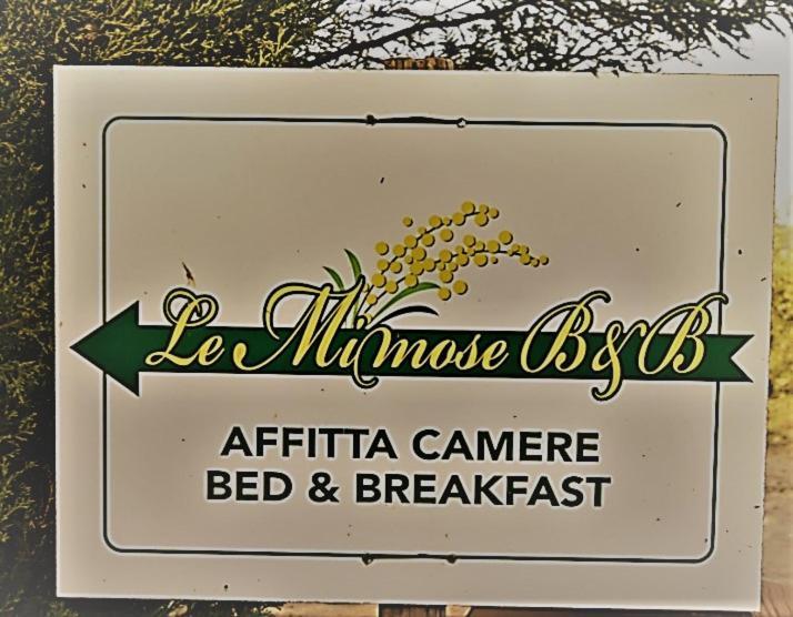 Le Mimose
