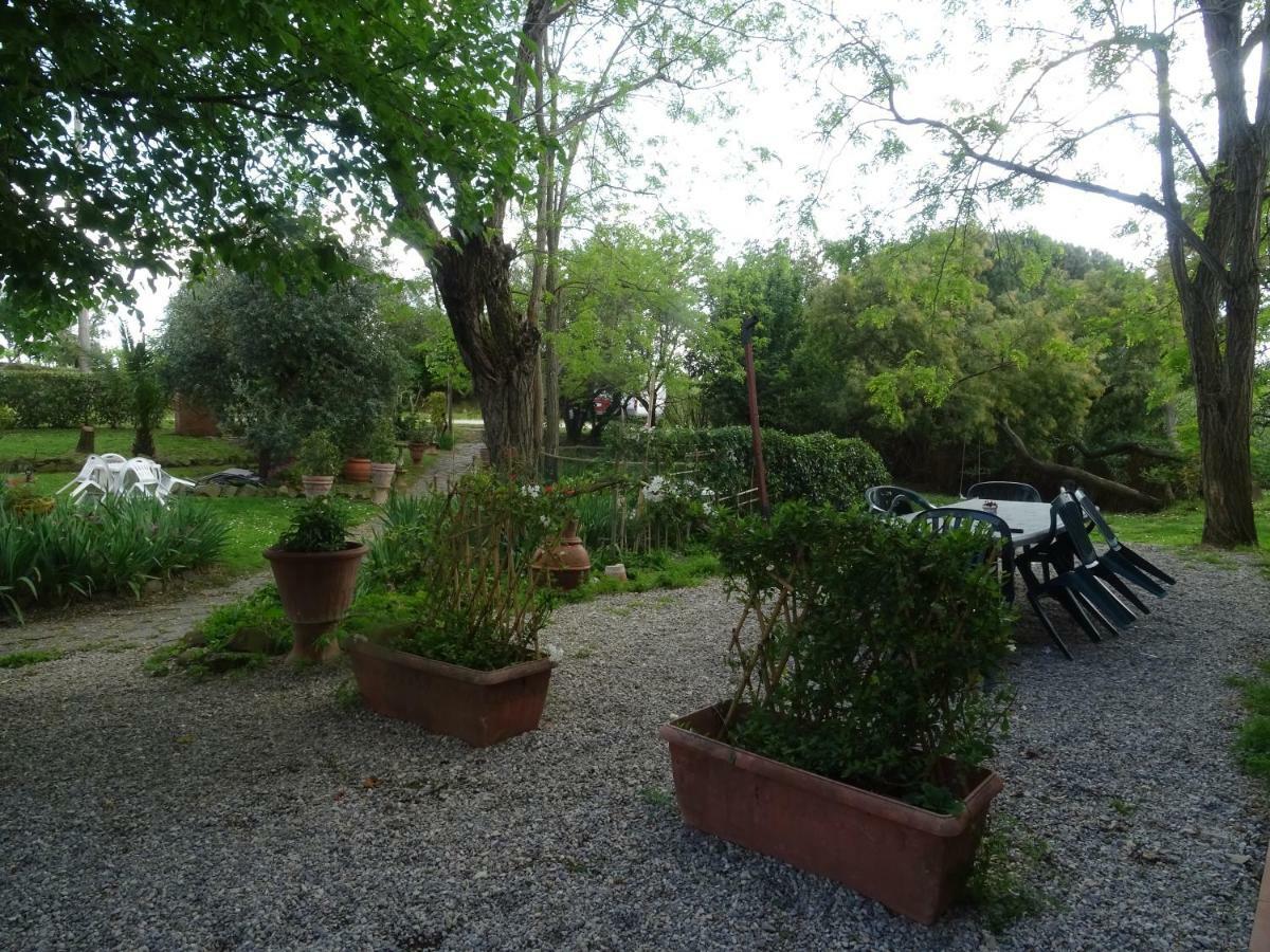Le Mimose Casa rural Vinci
