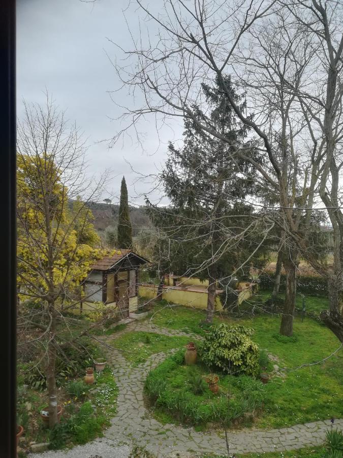 Le Mimose Casa de Campo Vinci