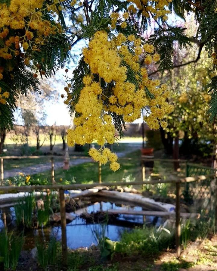 Casa de Campo Le Mimose *