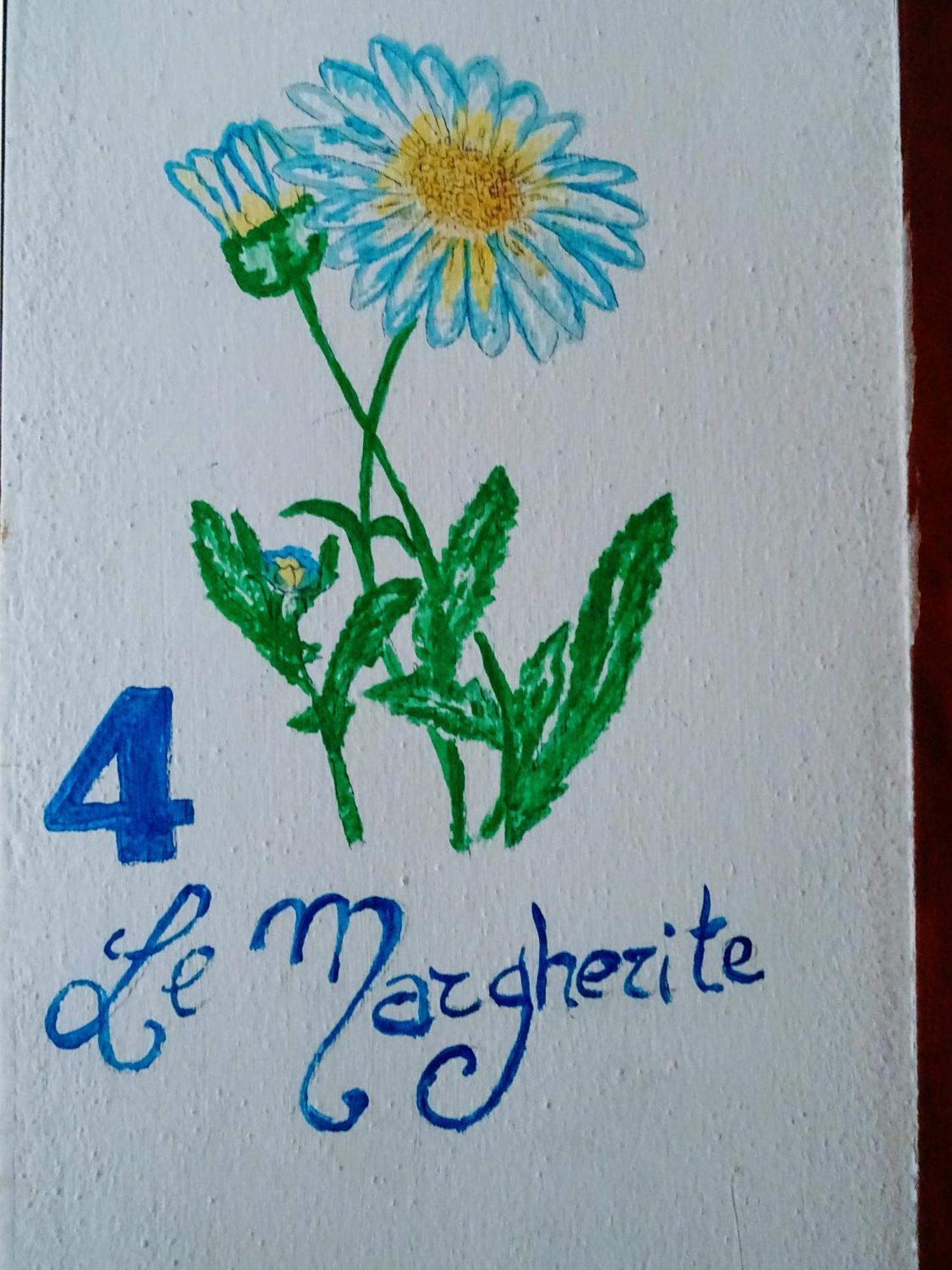 Casa de Campo Le Mimose Vinci