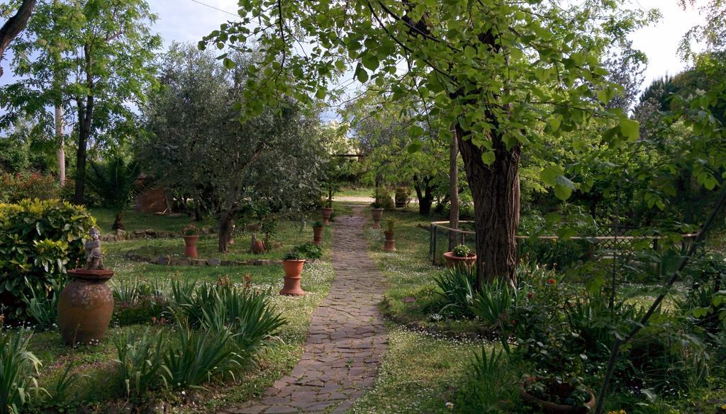 Le Mimose Casa de Campo *