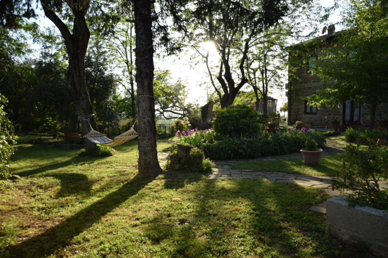 Le Mimose Casa de Campo Vinci