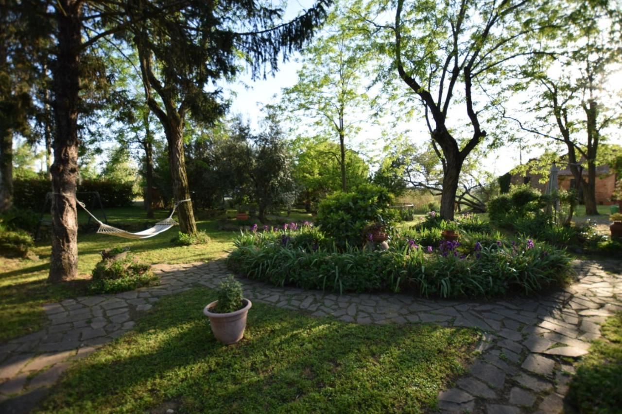 Le Mimose