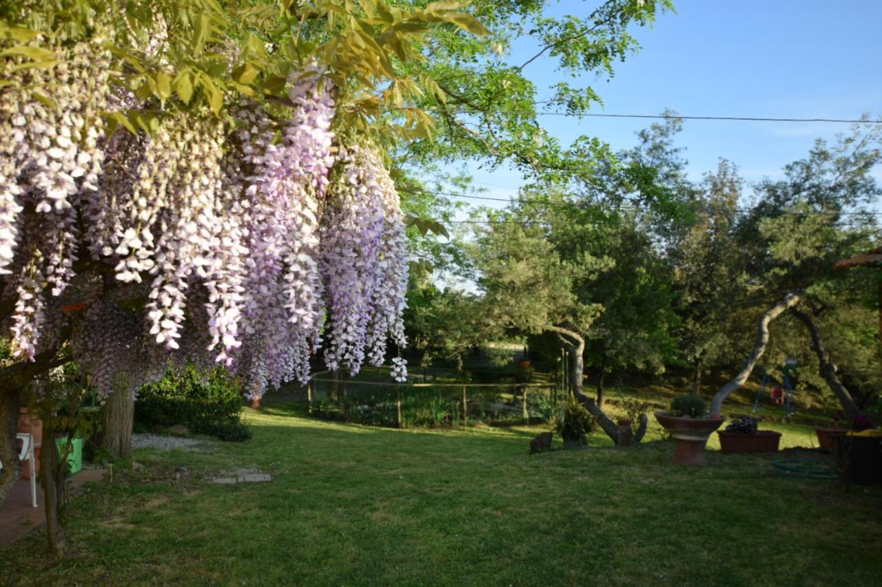 Le Mimose Casa de Campo