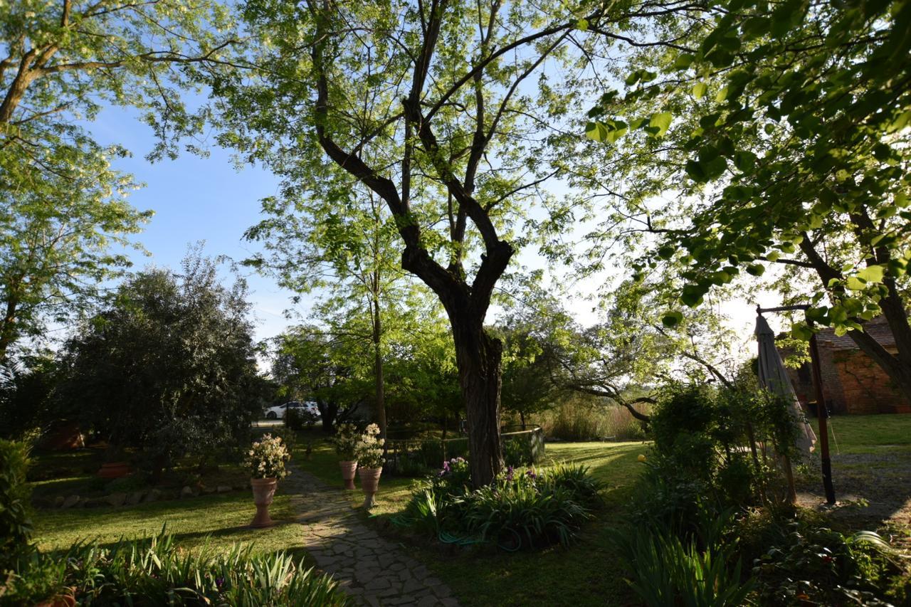 Le Mimose Vinci