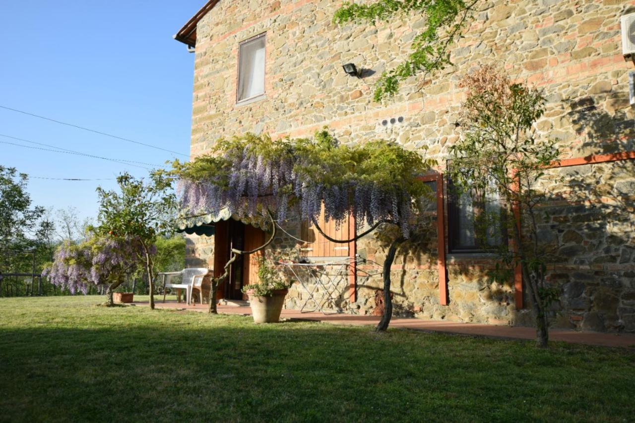 Le Mimose Casa de Campo Vinci