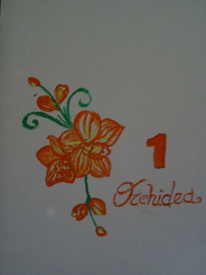 Le Mimose Vinci